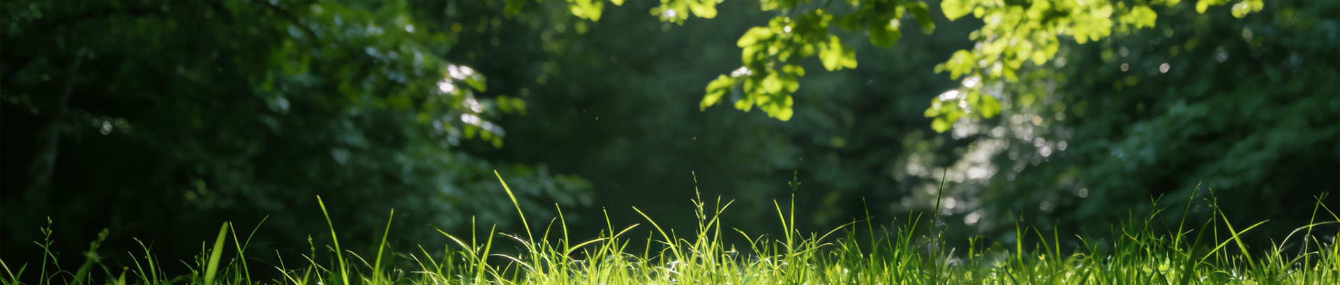 Needle-liked Fertilizer